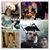 Ayb AkaGreg's profile image