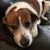 Julianne Schaefer's profile image