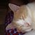 Roger Nichols's profile image