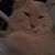 Avis Fisk's profile image