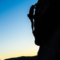 Matt Riedlinger's profile image