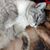 Leandra Johnson Nelson's profile image