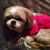 Sandy Smith Duncan's profile image