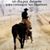 El Flaco Ranch Elc's profile image