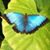 Candee Arvin's profile image