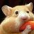 Lynette Renaud-Vanderaa's profile image
