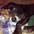 Linda Harvey's profile image
