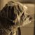 Ed Kandare's profile image