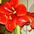 Sharon-Sherie Wettig's profile image