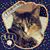 Virginia Smith-Stankowski's profile image