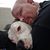 Brian Downey Clark's profile image