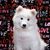 Tami Kapphahn's profile image