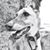 Carolyn Wand's profile image