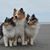 Sally Hildt's profile image