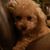 Tosha Mooney Parker's profile image
