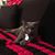 Patricia Lamb's profile image
