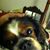 Leslie Trolenberg Lyford's profile image