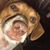 Troy Hutcheon's profile image