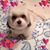 Gail Fontana Milano's profile image