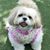 Debbie Chemmie Hostetter Barell's profile image