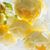 Wendy Richards Shepard's profile image