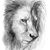 Robin McDonald Garrett's profile image
