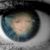 Frances Travis's profile image