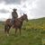 Day Callison's profile image