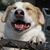 Mariann Smith's profile image