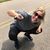 Holly Rose Kirklin's profile image