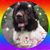 Nikki Maria's profile image