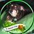 Bill McKay-Rivard's profile image