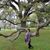 Loretta Turbeville's profile image