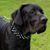 Brenda Lea's profile image