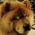 James Havlinek's profile image