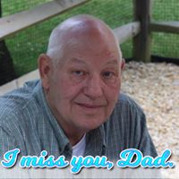 Jimmy Keyser's profile image