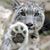 Dria Hiatt's profile image