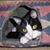 Mike Kraus's profile image