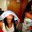 Jaimee Estreller's profile image