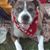 Judy King's profile image