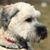 Eric Martin's profile image