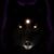 Micheal Lederer's profile image