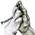 Debbie Honegger Amann's profile image