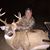 Darren Belden's profile image