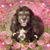 Jackie Mantia's profile image