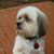 Mary L. Pence's profile image