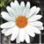 Jean Fad's profile image
