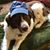 Rob Elmore's profile image