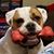 Jennifer Palm Volpe's profile image