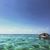 Katie Hazelton Rolo's profile image